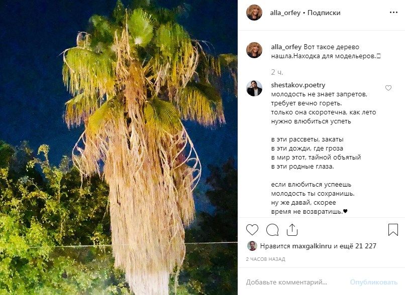 «На Филиппа Киркорова похоже»: Пугачева опубликовала новое фото в сети, сеть активно отреагировала 
