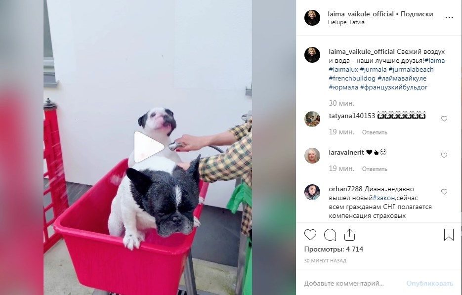 «Какая вы домашняя, хозяюшка»: Лайма Вайкуле показала домашнее видео, показав свой досуг, сеть в восторге 