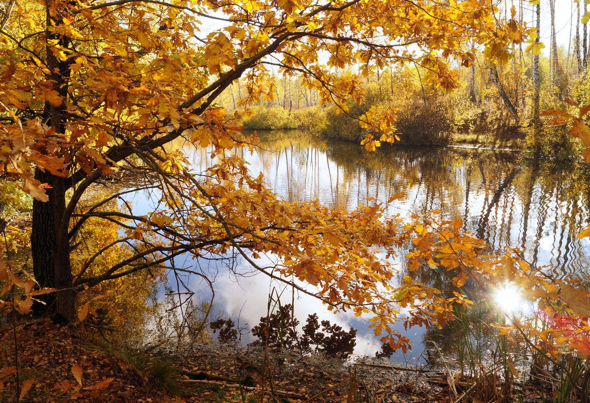 Бывший октябрь. Вода в октябре. Чумь осенью. Ноябрь и классика фото. Погода в октябре Украина фото.