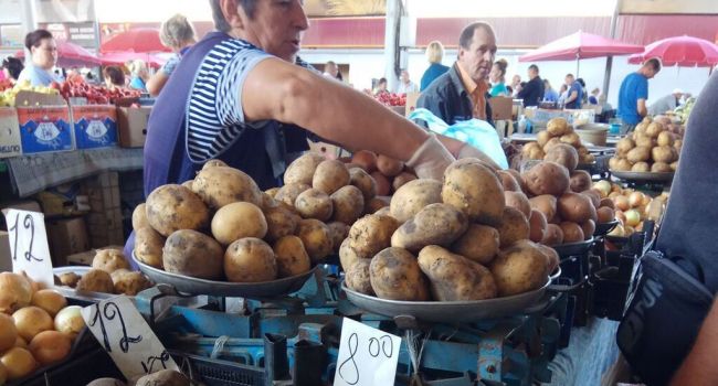 «Падать пока не будет»: экономист рассказал, что будет с ценами на картофель