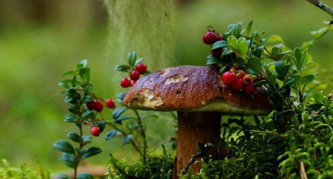  ���� ��-�������� ������� ��������� ������� ��������� ��� 