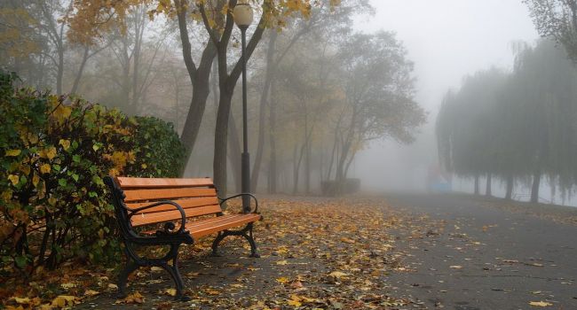  ���������� �������� ����� �������� �������� ������� ������� 