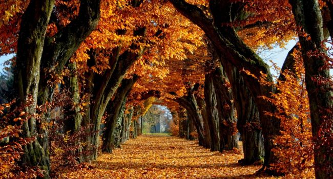  ������� ����� ��������� ���������� ����� ������� ���� 