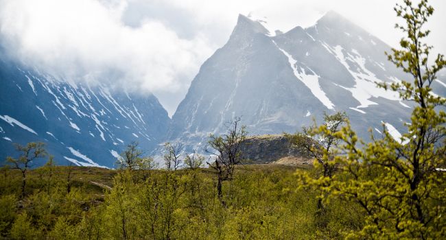 ����: replyua.net