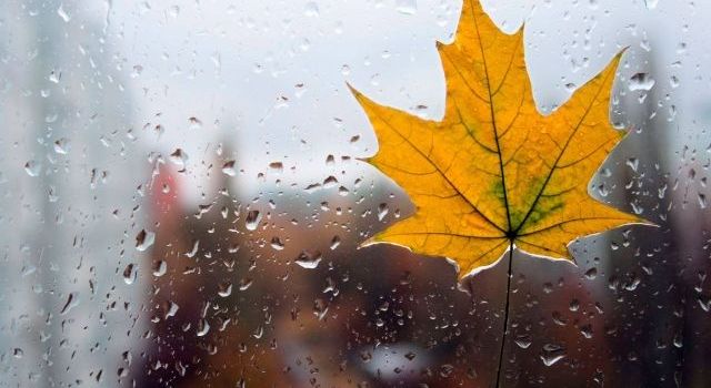  ��������� ������ ��� 2019-�� ��������� ������������ ��������� 