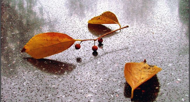  ������ �������� ������������ ������ ��������� ������ 