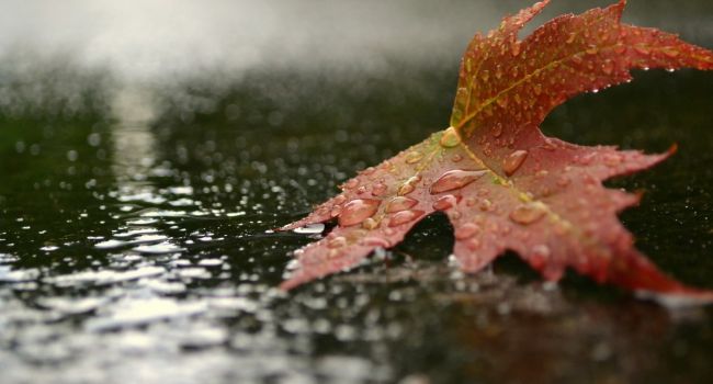  ���� �������� ������������ ������ ��������� ������ ����� 