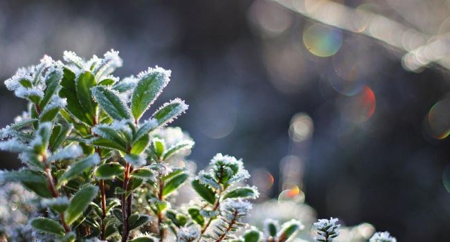  ��������� ���� ������� �������� ���������� ������ ��������� ����� 