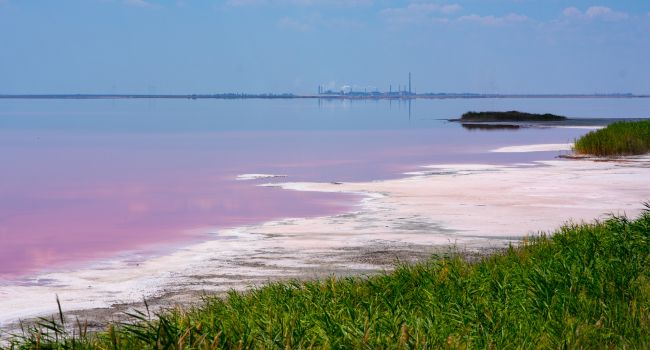 ����: replyua.net