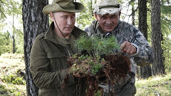  «Тишина, благодать, уединение… Горбатая гора-2»:  Путина и Шойгу сняли на видео за странным занятием в лесу   