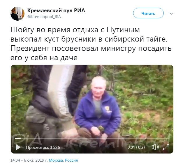  «Тишина, благодать, уединение… Горбатая гора-2»: Путина и Шойгу сняли на видео за странным занятием в лесу 
