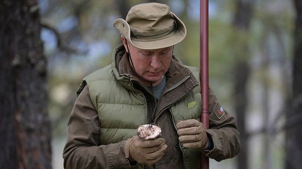 «Рыба, утки под прицелом, Шойгу в кадр не вошел»: развлечения Путина в тайге жестко высмеяли в сети