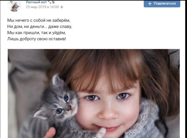 «Все стихотворения, которые я читаю, это мои стихотворения»: Усика подловили на наглом вранье, ткнув носом в доказательства 