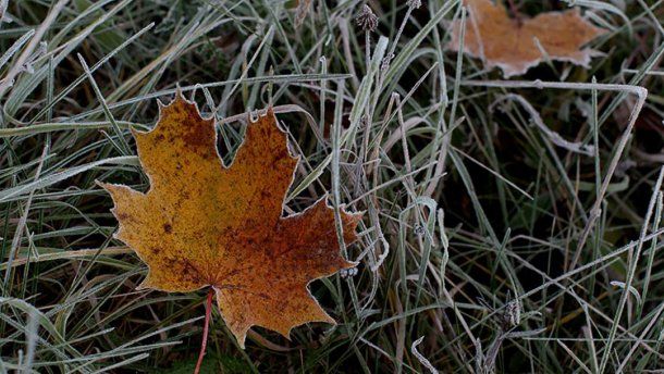 Холодно и морозно: синоптики огорчили прогнозом погоды на ближайшие дни 