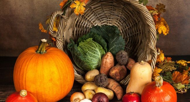 Не меньше нескольких овощей в день: Врач рассказала о сбалансированном питании осенью