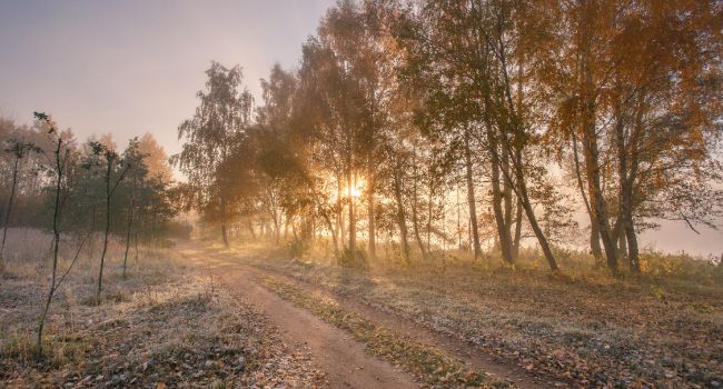 Осень уже в Украине: в Гидрометцентре сообщили о похолодании
