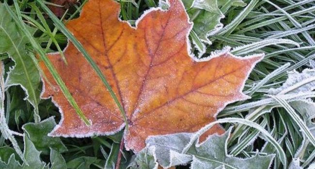  ���������� ������� ������ �������� ������� ������� ������� 