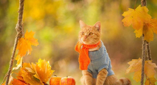  ����������� ����� �������� ��������� ����������� ������ ������ ������� 