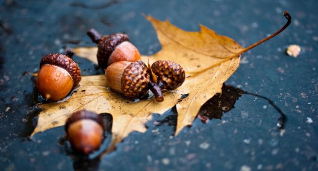  ������ ����������� ������ ����� 