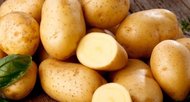  ���������� ����� ����� �������� ����� ������� ���� ������� 