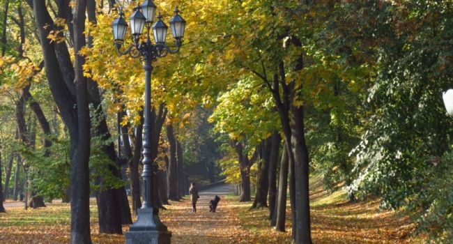  ���������� ������������� ������ ������� ����������� ���������� ������ ���� 