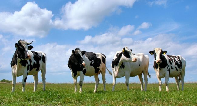  ������� ��������� ������ �������� ������� ������������ ���������� 