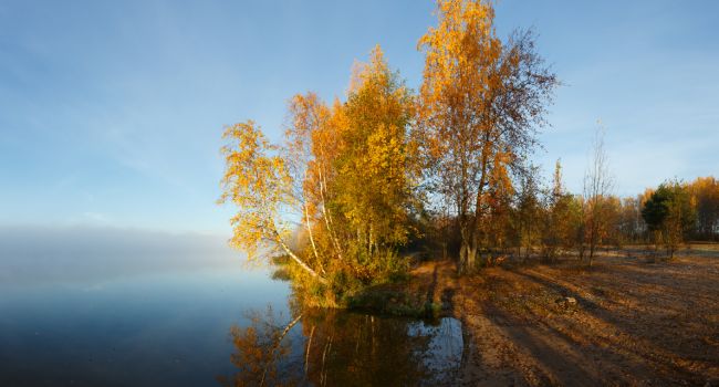  ����������� ������ �������� �������� ������������ ������� 