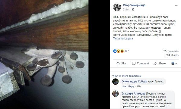 «Не зря билеты дорожают»: «Укрзализныця» вляпалась в очередной громкий скандал 