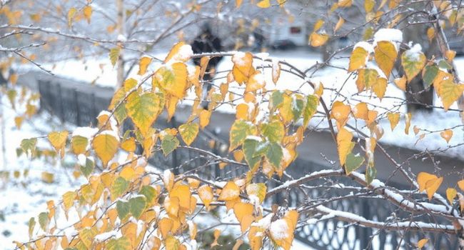 Гидрометцентр: Ноябрь будет довольно теплым, но прогнозируется много снега