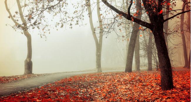 Суровый ноябрь начнется после 12 числа: Синоптики рассказали о погоде на следующей неделе