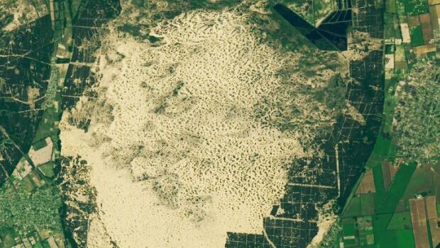 «Вот так красиво она выглядит»: Специалисты НАСА показали пустыню в Украине из космоса
