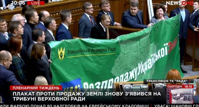 Олешко: Тимошенко защищает интересы своих спонсоров, которые взяли сотни тысяч гектаров земли в аренду за копейки на 20-30 лет