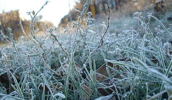 Осень свое берет: синоптик рассказала, когда в Украине существенно похолодает