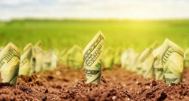Открытие рынка земли в Украине: В Минэкономики назвали стоимость гектара
