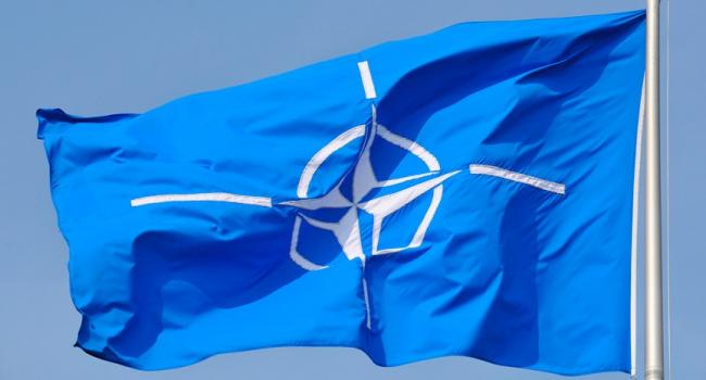  «НАТО разваливается»: Немецкий политик призвал Европу стать честной