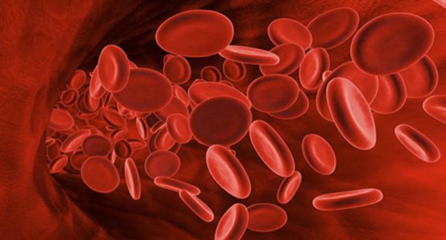«Показатели в норме?!»: Специалисты рассказали, на фоне чего происходит понижение количества тромбоцитов в крови