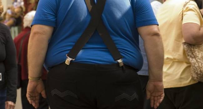 Учёные доказали связь между ожирением и нарушением функционирования иммунной системы