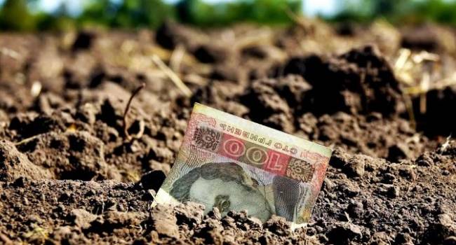 «За копейки продадут иностранцам»: Политолог жестко раскритиковал открытие рынка земли «За копейки продадут иностранцам»: Политолог жестко раскритиковал открытие рынка земли