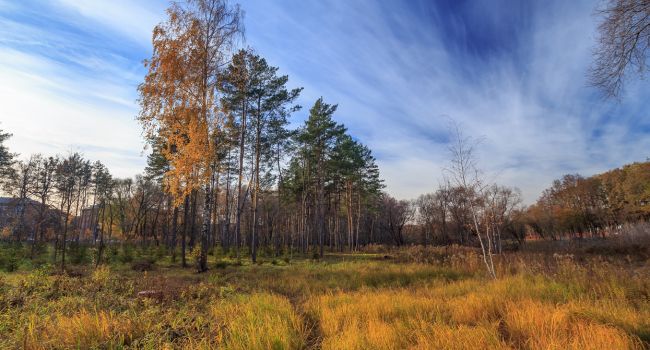  ������� �������� �������� ��������� ���������� ����� ���������� 