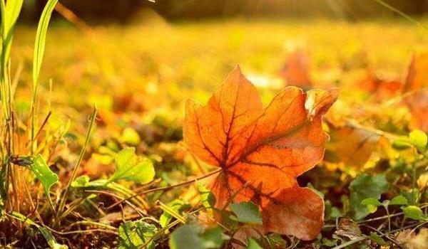  ������ ������ ����� �������� ���������� ������ ������ 