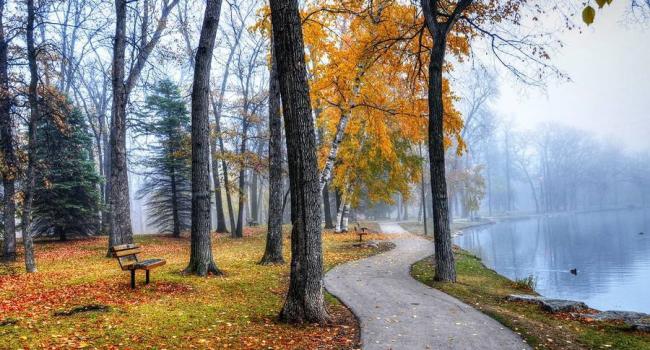  ����������� ����� ���� ����������� �������� ���������� ������ 