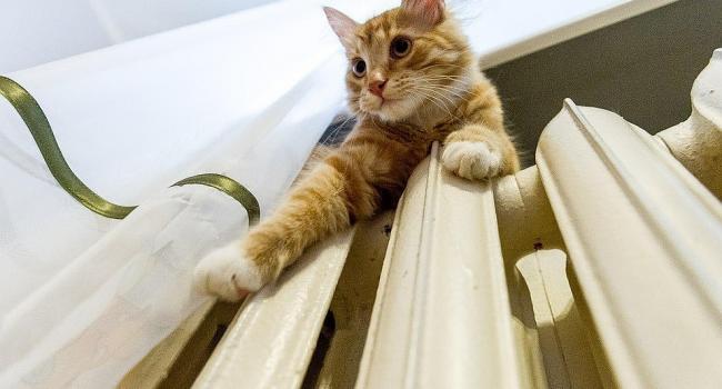  ���� ���������� ���������� ������� ��������� ������� ����� ����� 