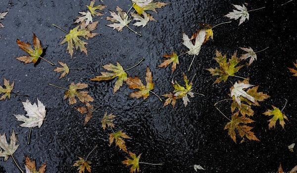  ������ ������ �������� ���������� ������ ��������� ������ 