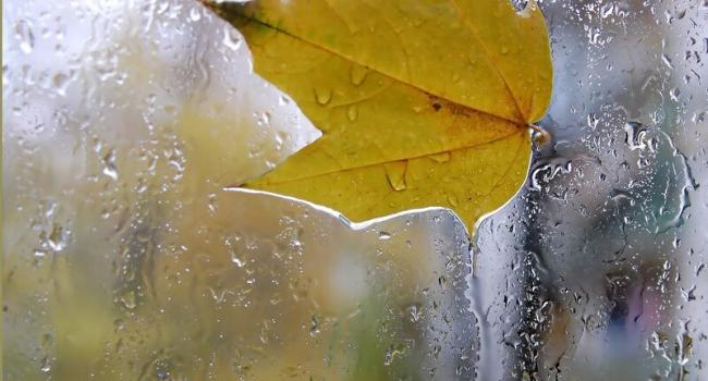  �� ����� ��������� �������������� ������� ��������� ��������� ��� 