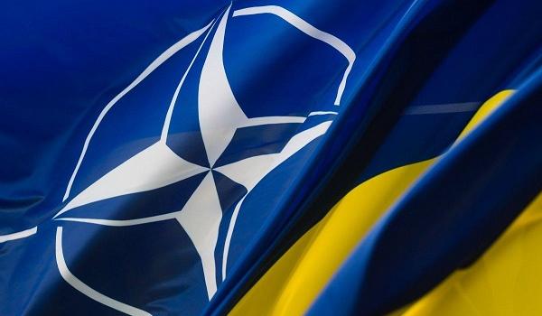  ������ �������� ������� ���������� �������� ������� ���� 