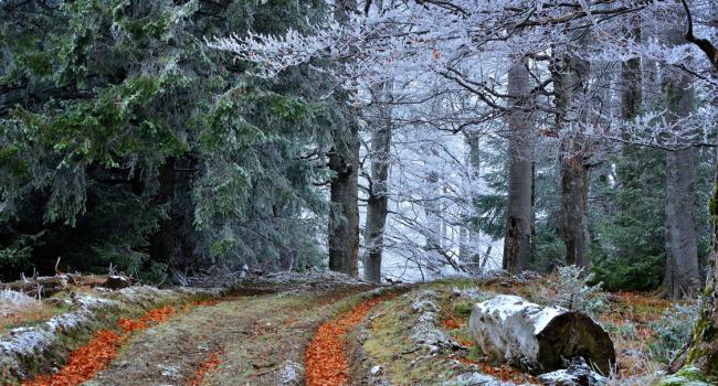  ����� ������� ���� �������� ����� ������ ��������� ��� 