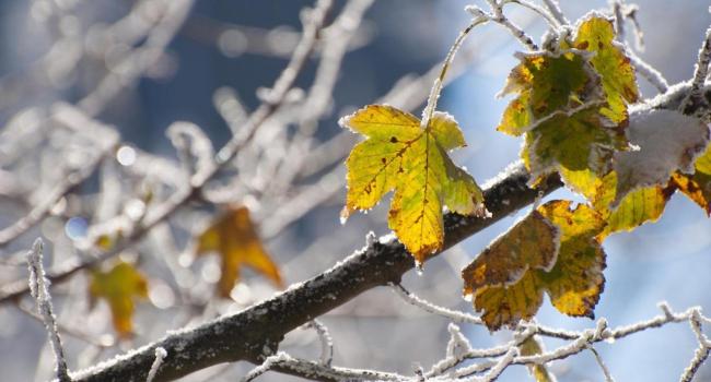  ����� ������ ���� ������ �������� ��������� ������� ��������� 