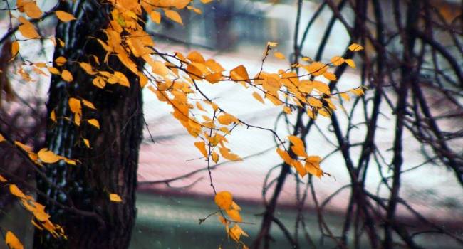  ����� ����� ��������� �������� ���������� ����������� ���������� 