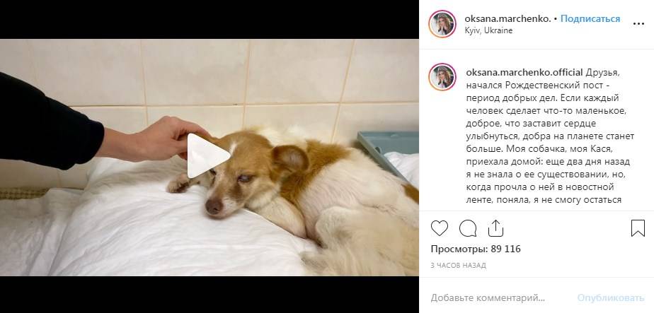 «Это Вы забрали слепую собачку из Никополя? Вы очень благородный человек»: Оксана Марченко поразила сеть своим поступком
