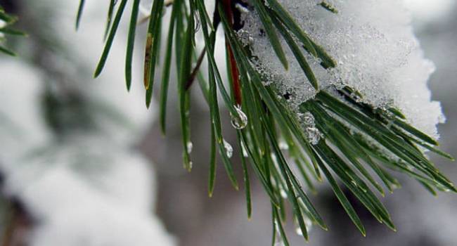 Плюсовые температуры, но морозно: синоптик предупредила о неожиданной погоде в пятницу